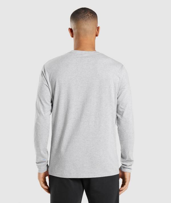 Panske Mikiny Gymshark Crest Long Sleeve Svetlo Siva | KP5198204